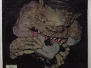 BLACK CAT BONES Barbed Wire Sandwich P.I.P. 6809 LP SEALED