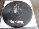 JOHNNY HALLYDAY COLLECTOR 33T 
