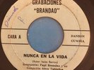 CONJUNTO AIRES TABLEÑOS - Nunca en la Vida - PANAMA 45