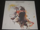 Peter Doherty rare 2009 1st press LP Grace Wastelands on parlophone LIBERTINES