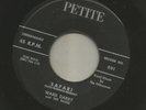 JUNGLE ROCK INSTRO- w RARE INTRO- WARD DARBY - SAFARI - -HEAR -1959 PETITE
