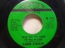 Karen Striblin We're Not Too Young 1970 Jaber Michigan RnB Soul Funk 45 Beavers