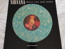 NIRVANA Picture Disc 12