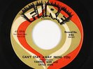R&B Rocker 45 - Tarheel Slim & Little Ann - Can't Stay Away From You - Fire VG+