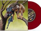 Sunny Day Real Estate/Circa Survive 