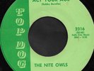 Rare 60's USA Psych Garage 45 - THE NITE OWLS (Top Dog)
