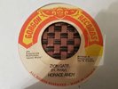 Horace Andy Zion Gate 7