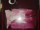 Siouxsie And The Banshees - Tinderbox - Reissue (NEW 12