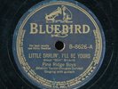 78tk-Hillbilly-BLUEBIRD 8626-Pine Ridge Boys  (Whitehouse Blues)