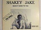 1 LP  SHAKEY JAKE   Make It God To You   1978   RAR