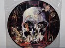 Slayer - South Of Heaven Pic LP Picture Disc Vinyl Record Rare Thrash Hanneman