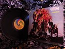PROMO '68 ORIG   1st FEVER TREE   Texas Garage Psych SAN FRANCISO GIRLS Fuzzrock