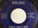 Indiana Northern Soul 45 Idle Few People That's Why on Blue Book HEAR