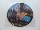 DAVID BOWIE UK LP  THE MAN WHO SOLD THE WORLD  PICTURE DISC PRESSING