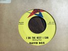 Rare Rockabilly DAVID BOX (Crickets) I Do The Best I Can / Waitin' JOED 45 VG++