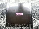 Kasabian Bumblebeee 10