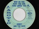 Northern Soul 45 - Honey & The Bees - Why Do You Hurt The One - Arctic - mp3