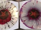 Obscura Diluvium RARE Relapse Records Obituary Pig Destroyer Terrorizer
