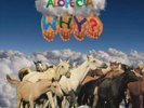 WHY?   ALOPECIA   DELUXE TRI-COLOUR VINYL LP plus DEMO LP plus 7