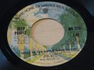 DEEP PURPLE smoke on the water/smoke on the water 1973 US WB 7710 45 W JB TAG EX