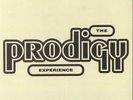 PRODIGY, The - Experience - Vinyl (gatefold 2xLP)