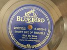 PRE-WAR COUNTRY BLUE SKY BOYS Bluebird 8829 Short Life of Trouble/ E to E+