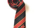 ACDC Mens Neck Tie Novelty  Striped Black Red Yellow Logo Business Rock Band