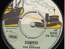 60s 70s Skinhead Reggae THE KURAAS stampeed Rare UK Pama Escort 7