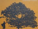 Jack Johnson ?– In Between Dreams  Vinyl, LP, Album, Gatefold Sleeve, 180 Gram