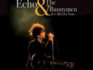 Echo & the Bunnymen - It's All Live Now Limited Edition 180g LP Free Ship