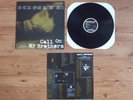 IGNITE CALL ON MY BROTHERS LP UNITY VISION SXE SICK OF IT ALL PUNK NO FUN AT ALL