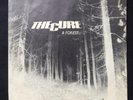 THE CURE A Forest / Another Journey FICTION 1980 FICS10 UK Original 7” 45 VINYL