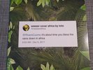Weezer AFRICA Toto 7