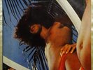CAETANO VELOSO Araca Azul BRAZIL 1973 ORIG TROPICALIA LP HEAR