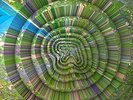 APHEX TWIN-COLLAPSE (BONUS TRACK) (EP) (DLCD) VINYL LP NEW