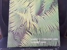 EDGAR FROESE YPSILON IN MALAYSIAN PALE BRAIN JAPAN LP VINYL SCHALLPLATTE