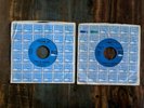 LYME & CYBELLE Follow Me Like Seasons Song # 7 Promo Warren Zevon White Whale