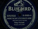 78tk-hillbilly-BLUEBIRD 8989-Riley Puckett