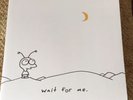 Moby  Wait For Me - Original First Press On 2 LP White Records