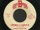 Rockabilly Teen 45   Harold Shutters   A Dreamer I'll Always Be   Hear