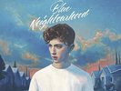 Blue Neighbourhood [LP] by Troye Sivan (Vinyl, Jan-2016, Polydor)