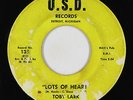 Northern/Deep Soul 45 - Toby Lark (Tobi Lark) - Lots Of Heart - U.S.D. - mp3