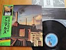 PINK FLOYD - ANIMALS - RARE OOP JAPAN 12