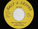 Northern Soul 45 - Johnny Mason - Who You Gonna Call? - Salt & Pepper - obscure