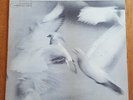 Donald Byrd Free Form Wayne Shorter Herbie Hancock Blue Note RVG VG+ mono promo