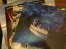 Echo & The Bunnymen - 4LP Bundle - Ocean Rain etc.