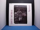 DAVID MURRAY SPIRITUALS DIW JAPAN