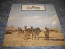 The Teardrop Explodes Kilimanjaro Vinyl LP Album Record