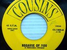 DREAMERS strong VG+ DOOWOP on orig. COUSINS 45 Because Of You Little Girl PC197