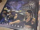 BIG RED - BIG REDEMPTION 3xLP 1999 ragga hip hop raggasonic